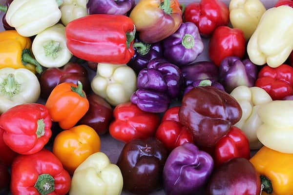 تصویر 5 از قیمت فلفل دلمه ای رنگی با کیفیت ارزان + خرید عمده